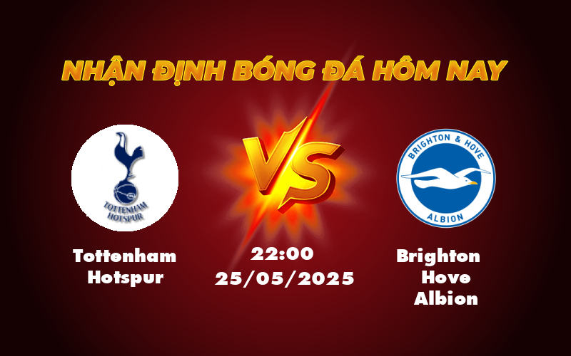 tottenham hotspur brighton hove albion 25 05 ngoai hang anh